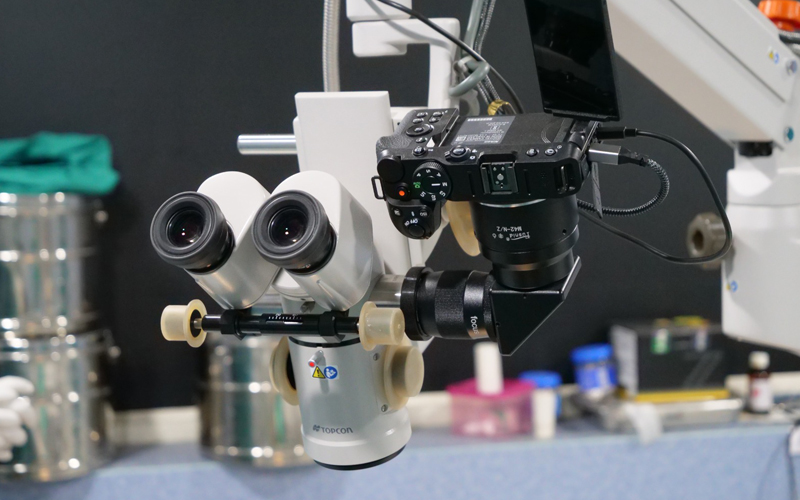 Oculoplasty and Cosmetic Eye Procedures